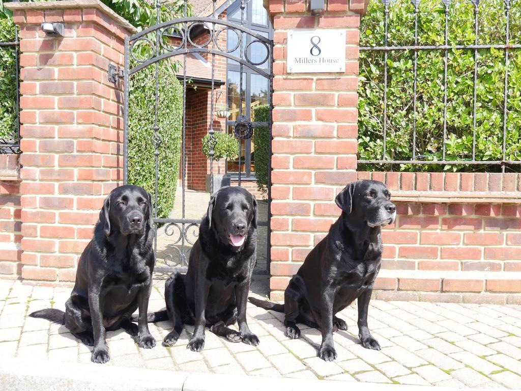 Millers House Boutique B&B 엠스워스 외부 사진